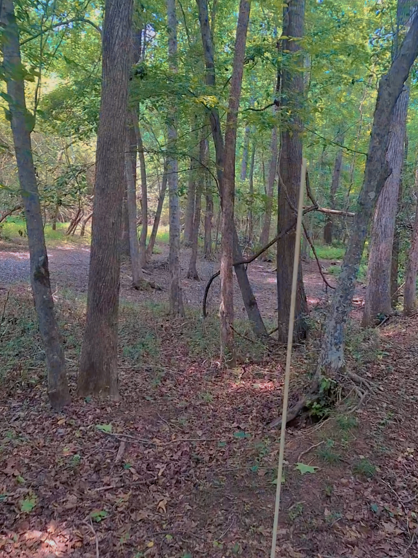 My #lonelydirtroad. #sc #closetogod #huntingspot #fyp 