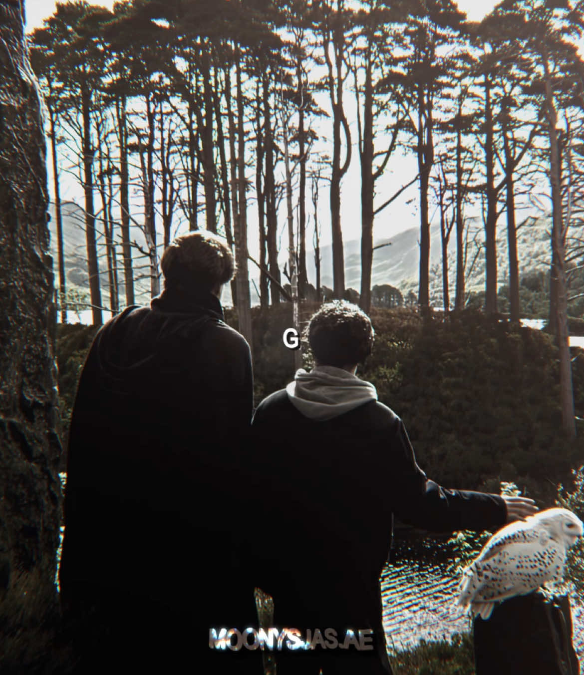They both wanted to be free, more then anything else.  CC: i dont remember IB: @𝑀𝑜𝑜𝓃𝓎 ೀ but she hasnt posted hers yet —————————————- #remuslupin #remuslupinedit #remuslupintok #remuslupinsupremacy #remuslupinkinnie #harrypotter #harrypotteredit #hp #lupintok #ae #aftereffectsedits #fyp  —————————————-  @𝐄ᥣ𝗂𐓣 ೀ @Evemi @paul ツ @darcawayϟ @evansx (moony’s version) @🐟 @Dina @moonys.mug  @𝐈𝐫𝐢𝐬 ♔ @crucio @𝐷𝑎𝑣𝑖𝑑 @giadaseditz @grngerz_cc @lup1naep @𝙫𝙞𝙨𝙚𝙧𝙞𝙤𝙣 𝙛𝙭 