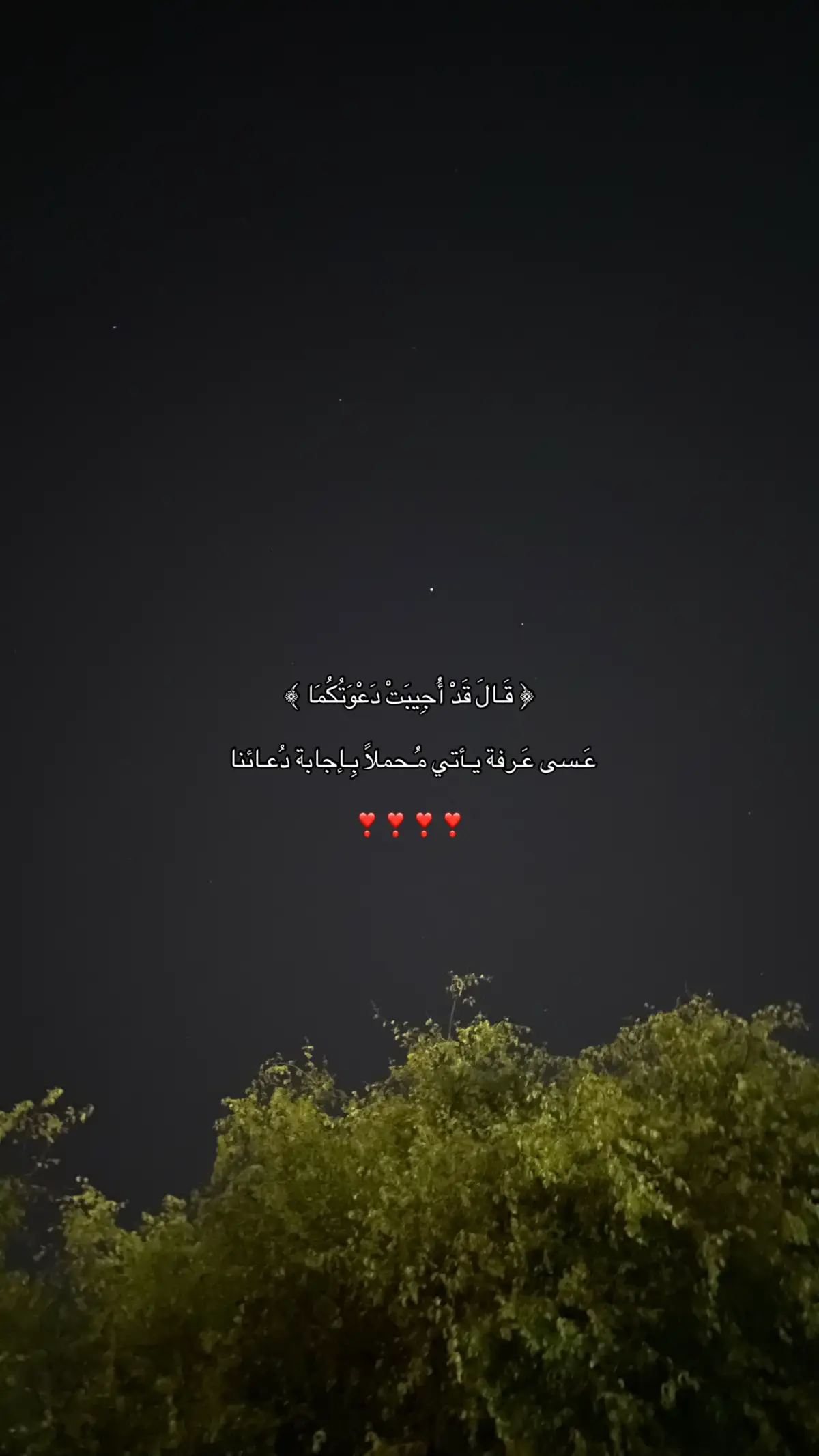 #quran #اجر #fyp #foryou #عشر_ذي_الحجة #اجر_لي_ولكم 