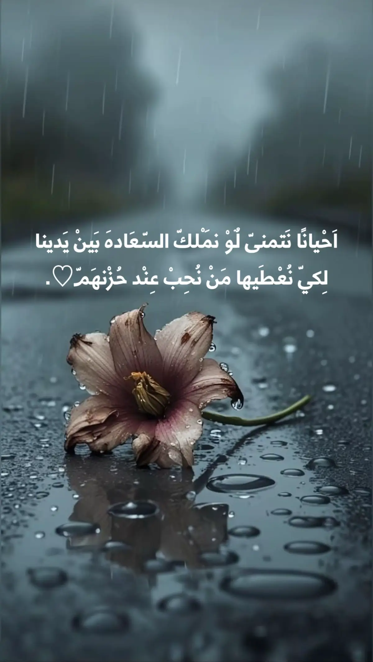#عبارات #قتباسات #خواطر #اكسبلور 