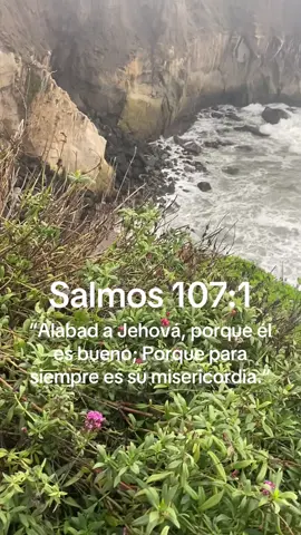 “Alabad a Jehová, porque él es bueno; Porque para siempre es su misericordia.” ‭‭Salmos‬ ‭107‬:‭1 #dios #es #bueno #contigo #fry 