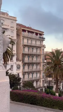 #les_algeriens🇩🇿 #العاصمة🇩🇿 #imazighen♓♓❤️❤️ #tiziouzou #bejaia 