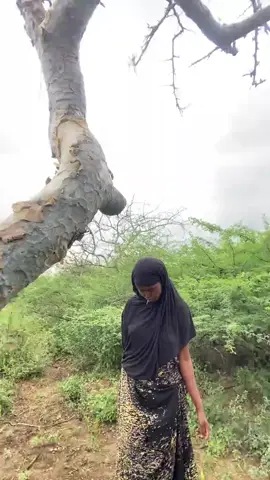 #somalitiktok #naaso_macaan_xx 