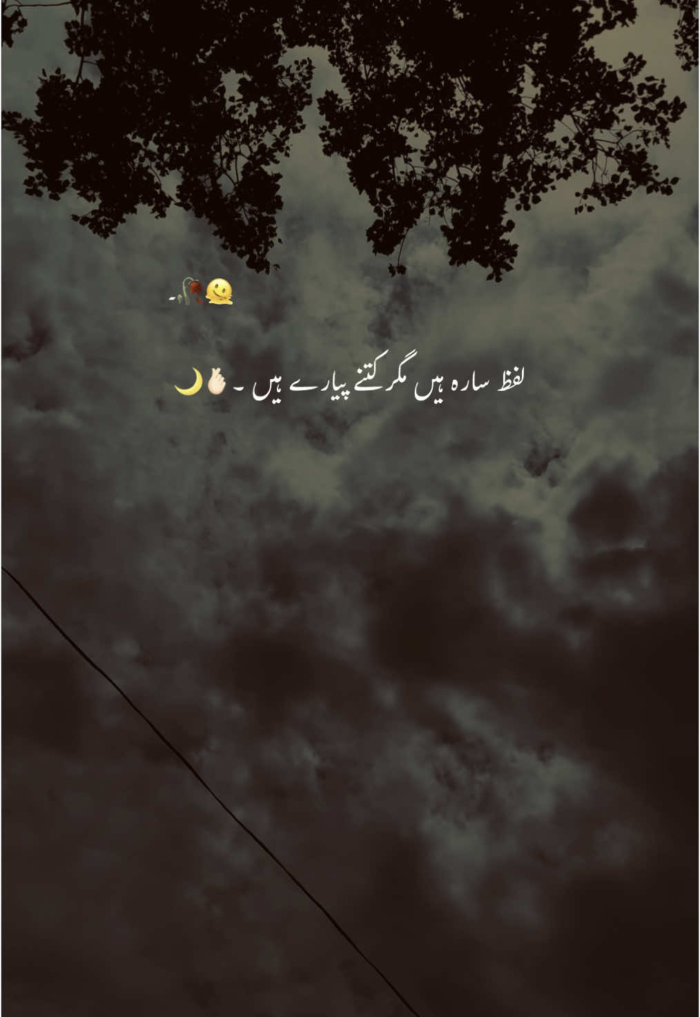 ہم تمھارے ھیں >>>>🫶🏻❤️‍🔥🌙🫀 #hehe_akhtar #viral_video #growmyaccount #foryou #forypupage 