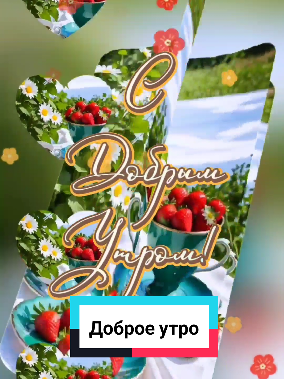 #доброеутро #доброгоутра #сдобрымутром #доброгоутречка #хорошегодня  #пожеланиедоброгоутра #новинки #доброеутроспожеланием #2025 #Aida05a 