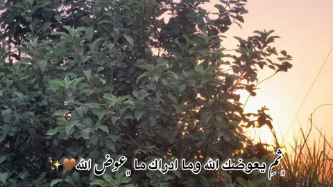 محضوره تعليقات انكليزيه 🙂🫶. … #شعب_الصيني_ماله_حل😂😂 #تصويري_احترافي_الاجواء👌🏻🕊😴 #npr1🌚 