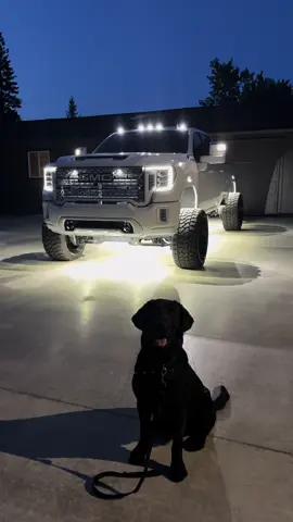 pupperz #l5p #deletedl5p #duramax #showtruck #pnw 