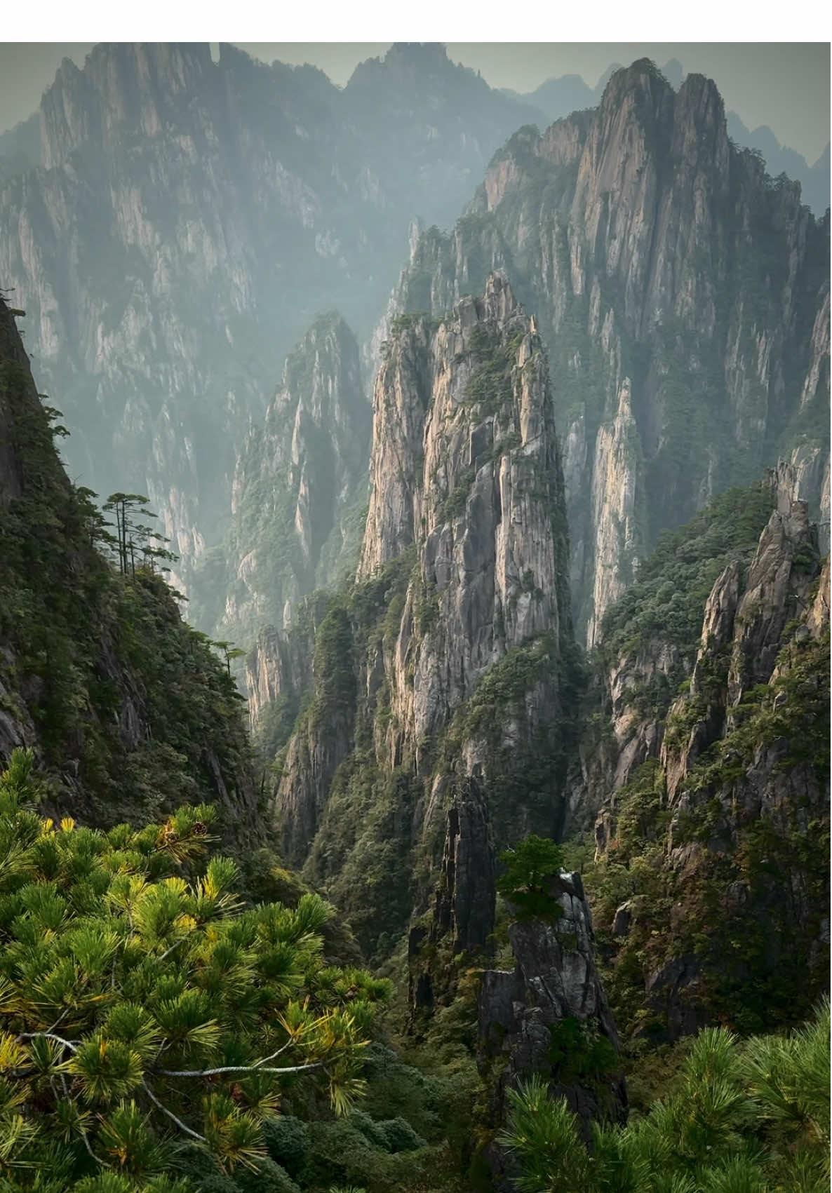 Huangshan is one of the most beautiful mountain areas I’ve ever explored. It’s often dubbed the Yosemite of China but in my opinion it’s more stunning. It’s like if Yosemite (both granite) and Zhangjiajie had a mountain love baby. #fyp #travel #Hiking #adventure #nature #foryoupage #viral #trending ##china #traveltiktok 
