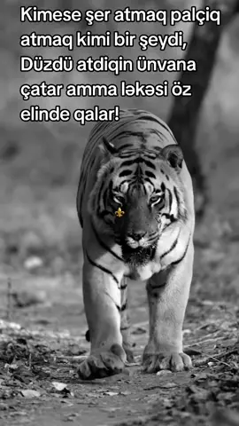 👑#bugün #novxani 