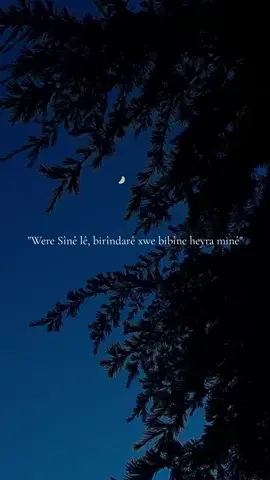 Bedewa nav eşîrê, Sînemê🌛#komawetan #rock #sînê #muş #bedlis #sason #mezopotamya #xerzan #welat #keşfet #kurdistan #bakur_başur_rojava_rojhilat #keşfetbeniöneçıkar #keşfetteyizzz 