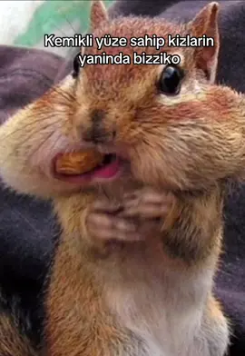 Agzinda findik olan sincaplara benziyorum amk #fyppppppppppppppppppppppp #fypage #keşfetteyizzz #kesfet 