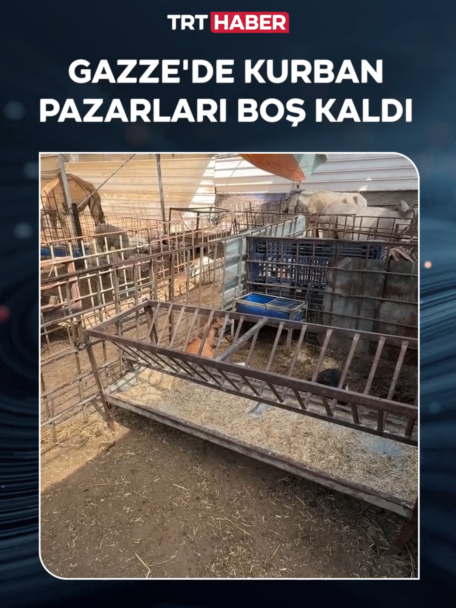 Gazze’de bu bayram da kurban pazarları boş kaldı... #gazze