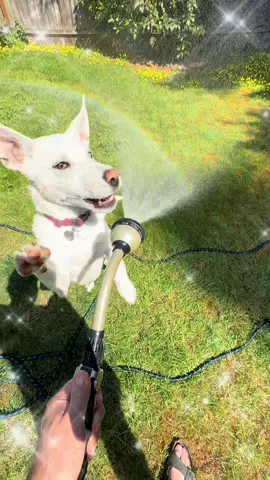 I think Kila likes #water 