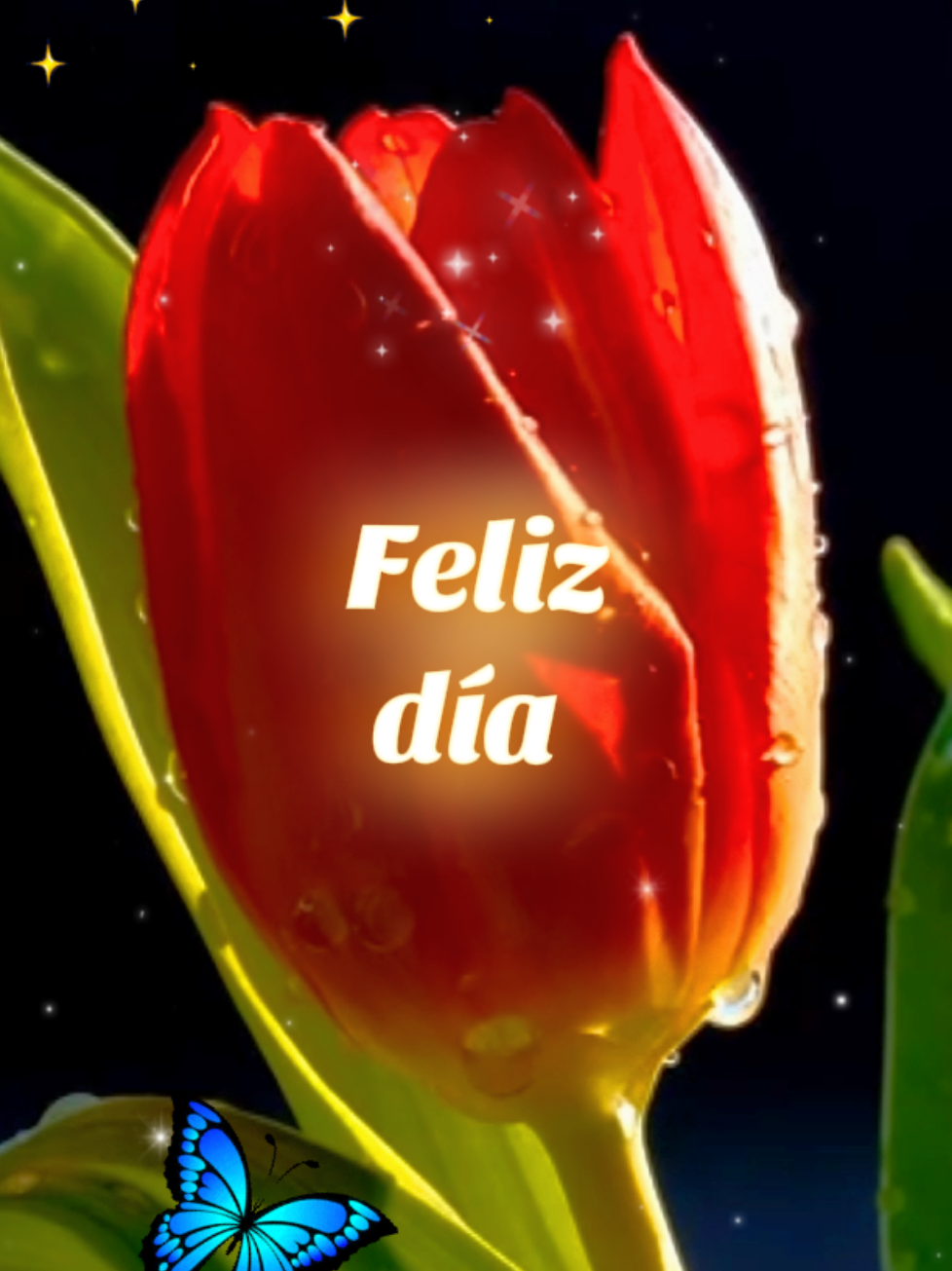 Feliz día para la mujer más bella 🌹❤️ #saludos #felizdia #felizcumpleaños #paradedicar #saludosydeseos #tulipanes #mujerbella 