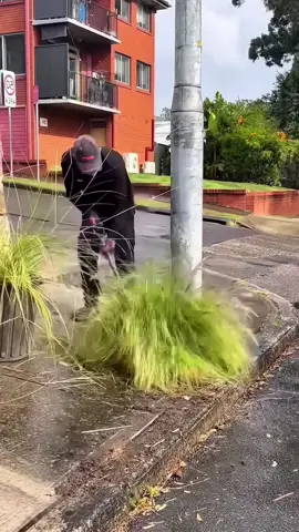 Good job,the latest clips are more satisfying #lawncare #gras #goodjob #satisfyingvideos #fyp #oddlysatisfying  #cleaningasmr #cuttinggrass #satisfying#asmrsleep#asmrsleeprelax#cleaninggarden #cleaningsatisfying