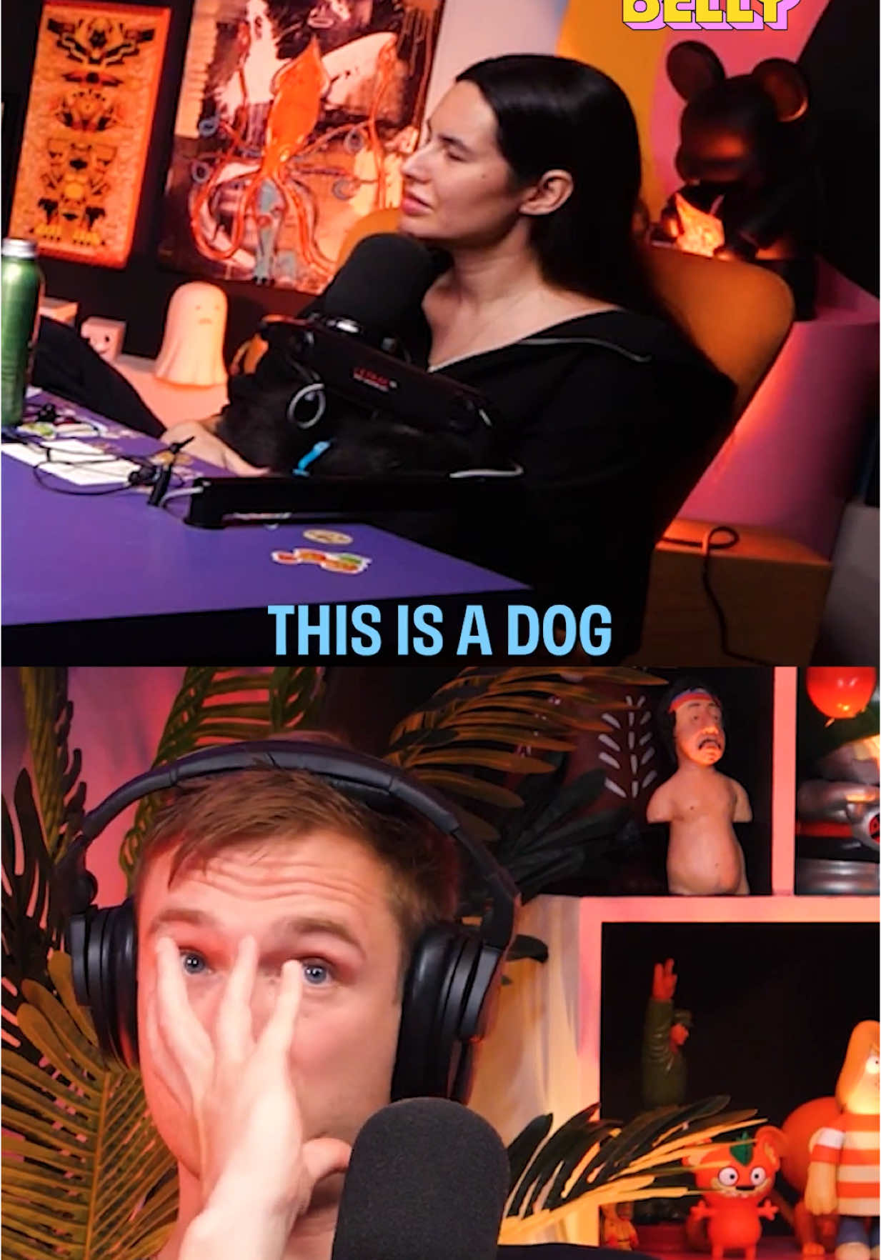 The time @AriMattiComedy was attacked by a dog 😳 #tigerbelly ep. 504 #dogbite #podcastclip #standupcomedy @All Things Comedy 