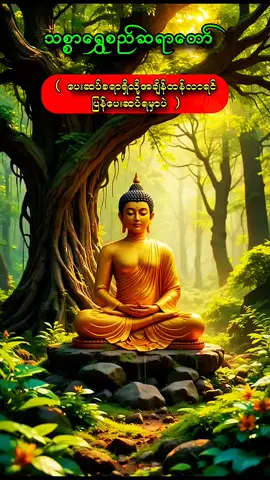 #fyp #foryou #တရားတော်များ #viral #viralvideo #သစ္စာရွှေစည်ဆရာတော်အရှင်ဥတ္တမ၏တရားတော် #သစ္စာရွှေစည်ဆရာတော် 