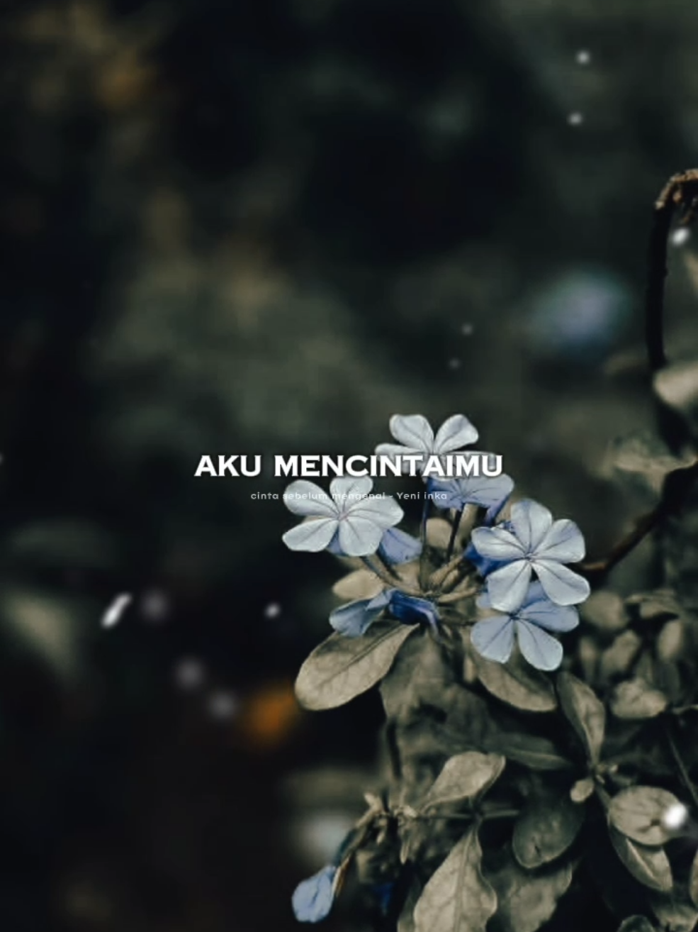 CINTA SEBELUM MENGENAL - YENI INKA 😁😁😁#liriklagu #overlay #templatecapcut #CapCut #fyp 
