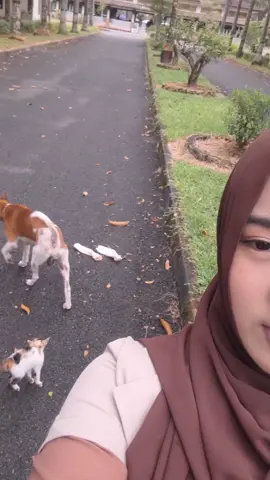 #CapCut #fyp #kejaranjing here is where the heart beats fast@indi 😮‍💨🙂