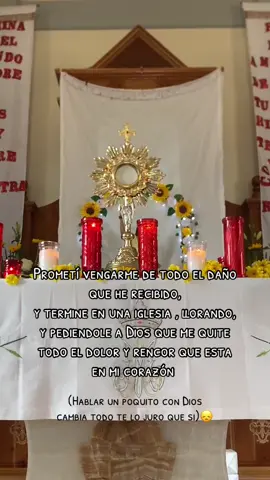 Deme las fuerzas necesarias para seguir caminando. solo tú me conoces y conoces la vida que llevo                                      y lo difícil que es para mí continuar  #dios #catolica #jesus #2025 #❤️ #🙌🏼 #videoviral #😔💔🥀 #rendida 