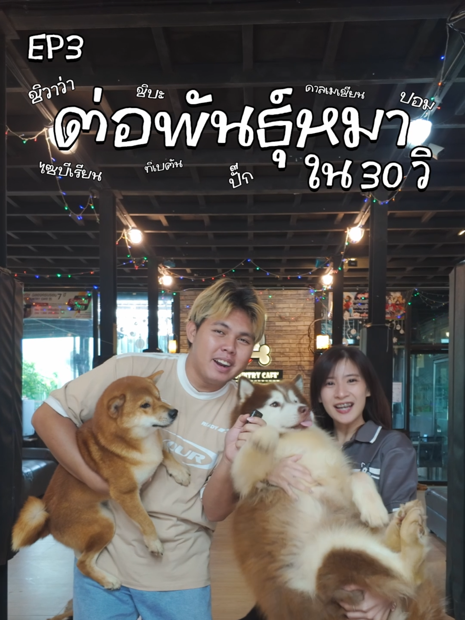 ต่อพันธุ์หมารอบนี้ใครจะเป็นฝ่ายชนะ ระหว่างสตาฟชมาและสตาฟแป้ง #dog #dogcountrycafe #คาเฟ่หมา #หมา #Tiktok #tiktokท่องเที่ยว #Tiktokสัตว์เลี้ยง #Tiktokคาเฟ่ #คาเฟ่ #คาเฟ่ฝั่งธน #พุทธมณฑลสาย2 #thailand #กรุงเทพ #เทรนด์วันนี้tiktok