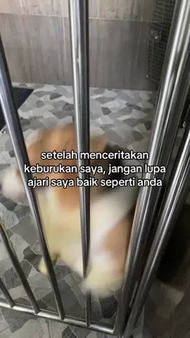 ok