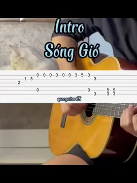 Sóng Gió Guitar #songgio #music #guitartok #guitar #trend #trending 