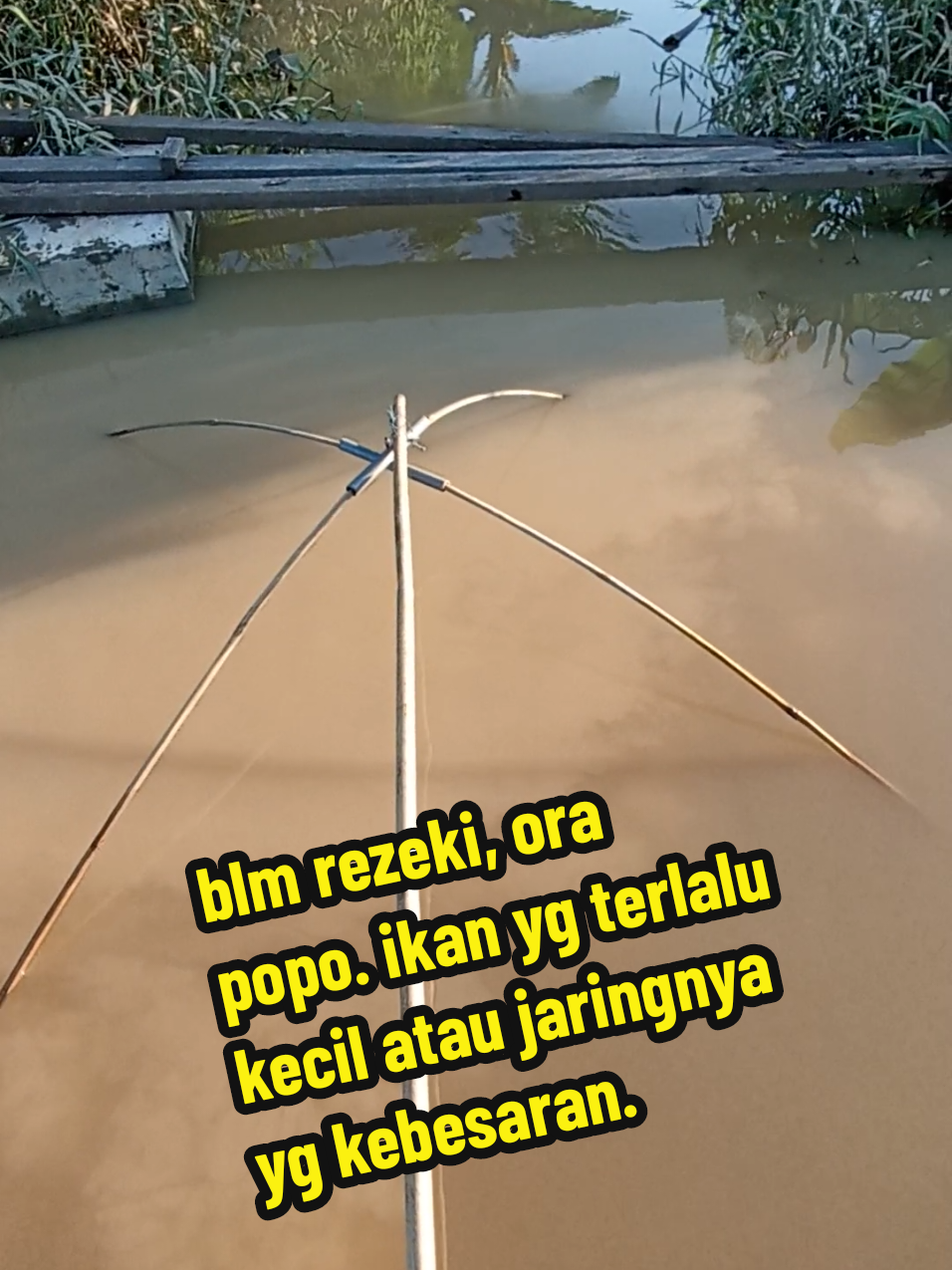 Strike ikan nila tapi.. #exploresawah #ancaumania #jaringancoudangwader #jaringserbaguna #jaringikan #semuaorang 