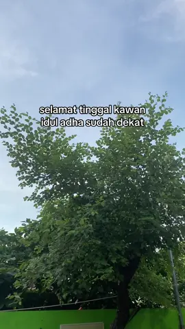 😭#iduladha #kurban #kenangan 