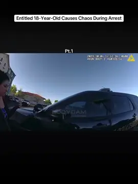 #copsoftiktok #fyp 