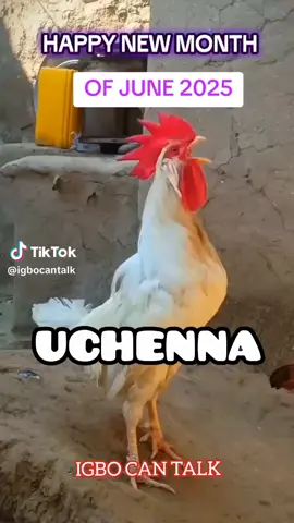 Am new in TikTok please like and share my video thanks 🤣🤣