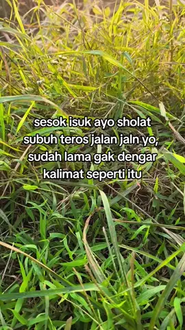 #vibes2019 #oldvibes #2022 #2020 #masukberanda #asik #slomo2019 #laguold #fyppppppppppppppppppppppp #4u #old 