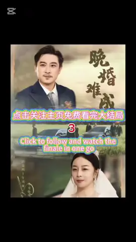 #话题标签 #最新短剧 #热门话题🔥🔥🔥 #四十年前唐成江与哥哥唐九枭失散唐九枭成南省黑龙会会长仍寻弟五十岁唐成江为过普通人生活,退隐开小餐馆。唐九枭手下秦凤被追杀逃至餐馆,发现柜台上木雕是唐九枭信物 