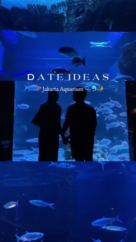 Date Ideas Jakarta aquarium & safari 🐬🫧 bisa explore sepuasnya cuma bayar 100rb an👀 #JAQS #jakartaaquarium #tiketmurah #tiketcom #semuaadatiketnya #jelajahhepi #aquariumdate #dateideas #jakartaaquariumsafari 