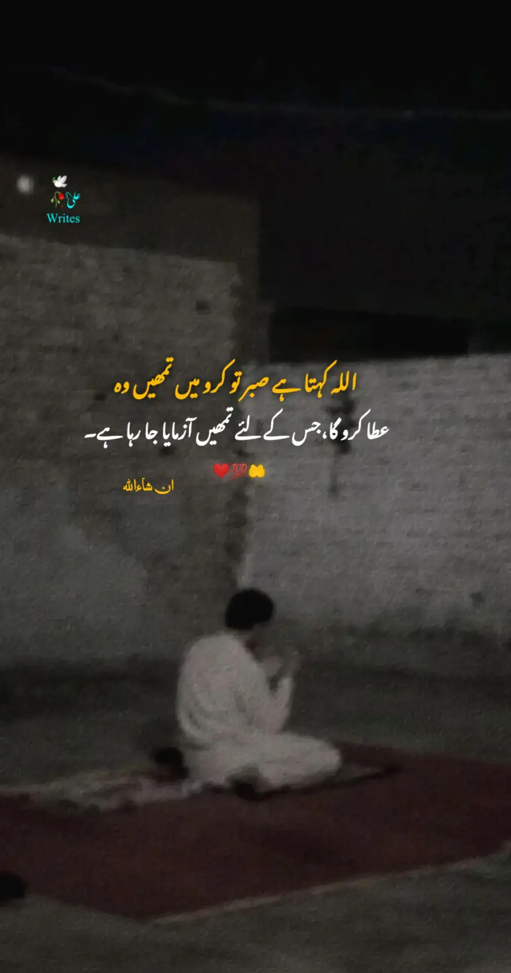#foryou #foryoupage #urdupoetry #growmyaccount #unfrezzmyaccount 