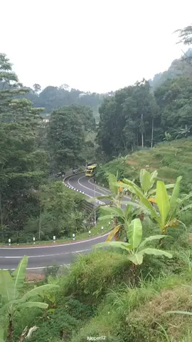𝐑𝐚𝐡𝐦𝐚 𝐣𝐚𝐲𝐚 || #kelok8tawangmangu #busmaniacommunity #basurimusicalhorn #fyp #fyppppppppppppppppppppppp 