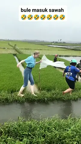 bule nyasar ka sawah