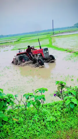 বাউল মানেই আলাদা একটা ভাব 😩😎#tektar_lover_ #repost #copylinkplease💗 #foryou #foryoupage @BD Tiktok Official✅ 