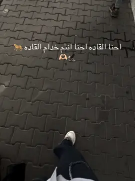 #CapCut #احنا_القاده #انتم_خدام#القاده🦅⚔️ #لايك__explore___ #الشعب_الصيني_😂😂 #العشب_الصيني_ماله_حل😂 #احبك #تبارك#منيٰر #كاب_كات 