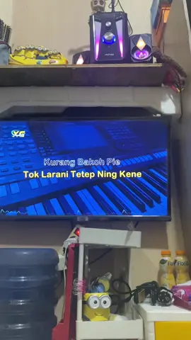 tesss #karaoketiktok #viralvideo #pelampiasan 
