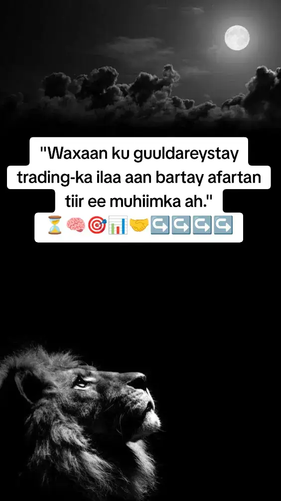 #somalitraders #forextrader #moalimuufx🔥 #foryoupagе #hagarlaaweacademy #foryoupageofficiall❤️❤️tiktok #UKFXTRADER0 