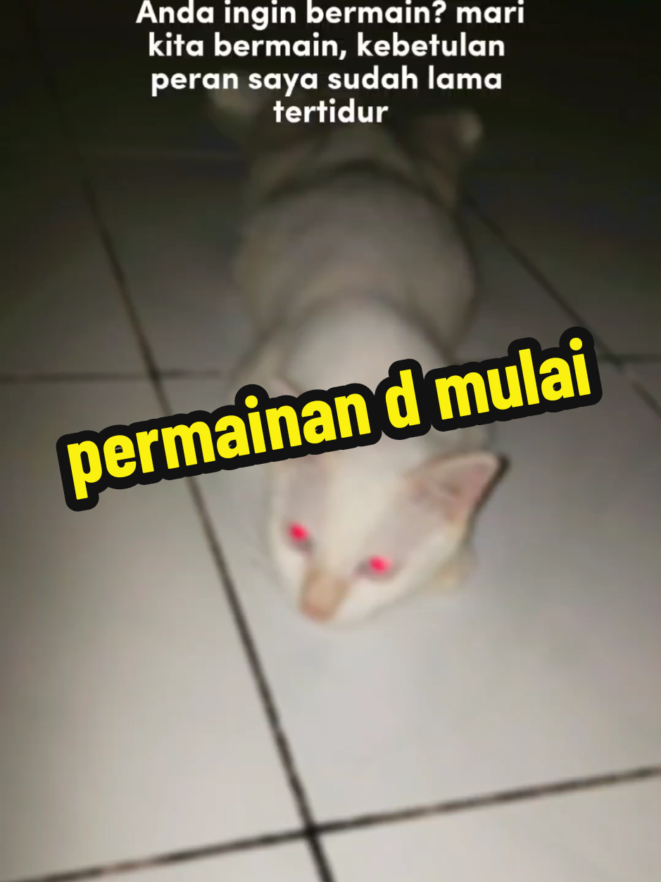 🌱peran penganti #gass #pemainecekecek #permainandimulai #🐅🐅🐅🐅🐅🐅🐅🐅🐅🐅🐅 #salamwaras #lojualgwbeli #jalurlangit #menungsomodelsaiki 