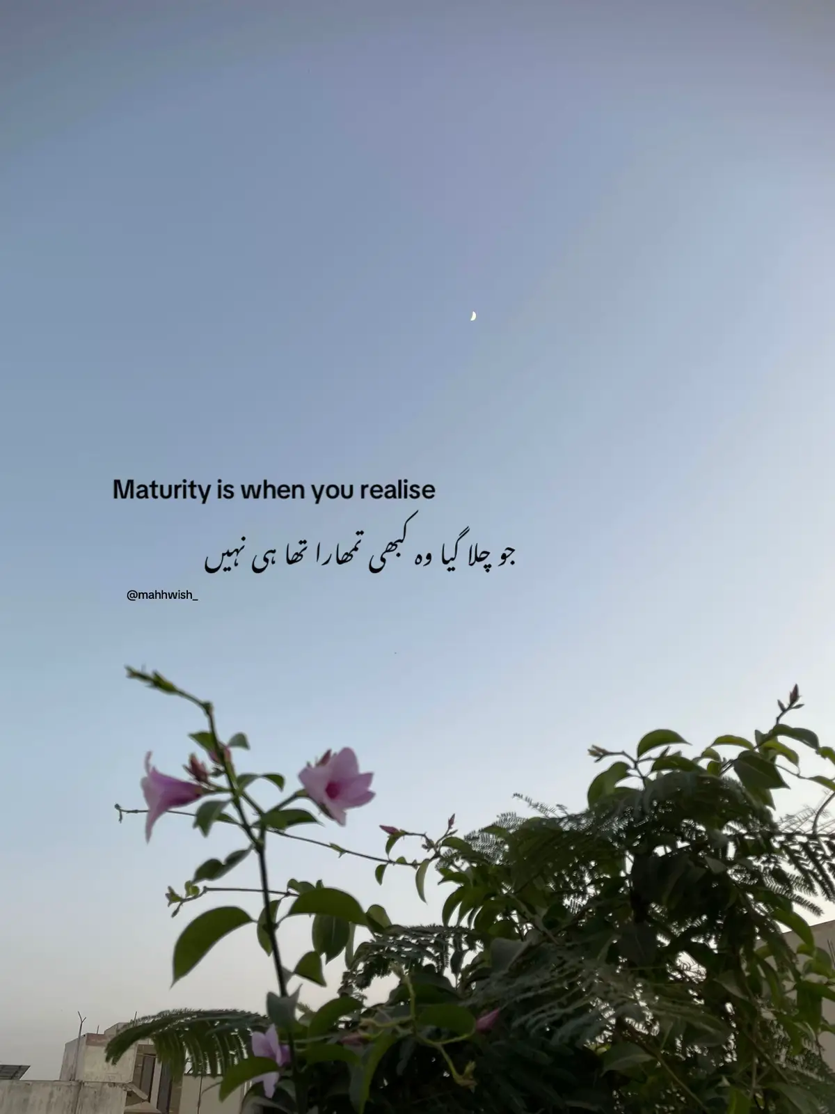 #fyp #mahhwish_ 