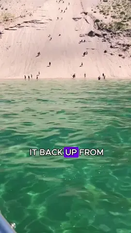 The most difficult sand dune to climb, you have to pay a price if you can't climb it ❤️ #duneclimbing #lakemichiganviews #greatlakes #sleepingbeardunes #sleepingbeardunesnationallakeshore #puremichigan #lakemichigan #sanddunes