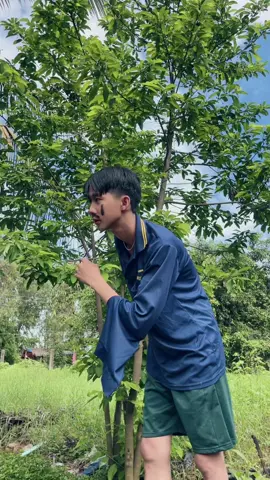 giống giống ai thế nhỡ