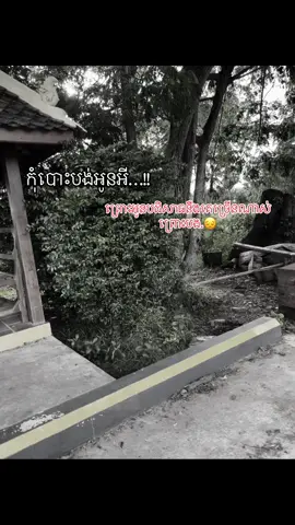 ព្រោះតែអូនស្រឡាញ់បង…😞❤️‍🩹#tpyシ #🍒или🍓 #មកថ្មីសុំស្គាល់ផង☺️💖 