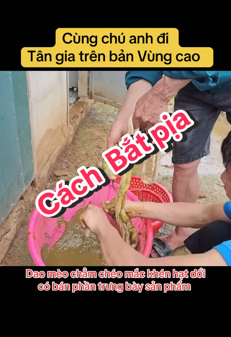 ##chuanhtaybac đi xem tân gia trên vùng cao như nào #chẳmchéotâybắc #tiếtcanh #anh1985vlogs #nậmpịa #amthucvungcao #nhipsongtaybac #chuanhvlog 