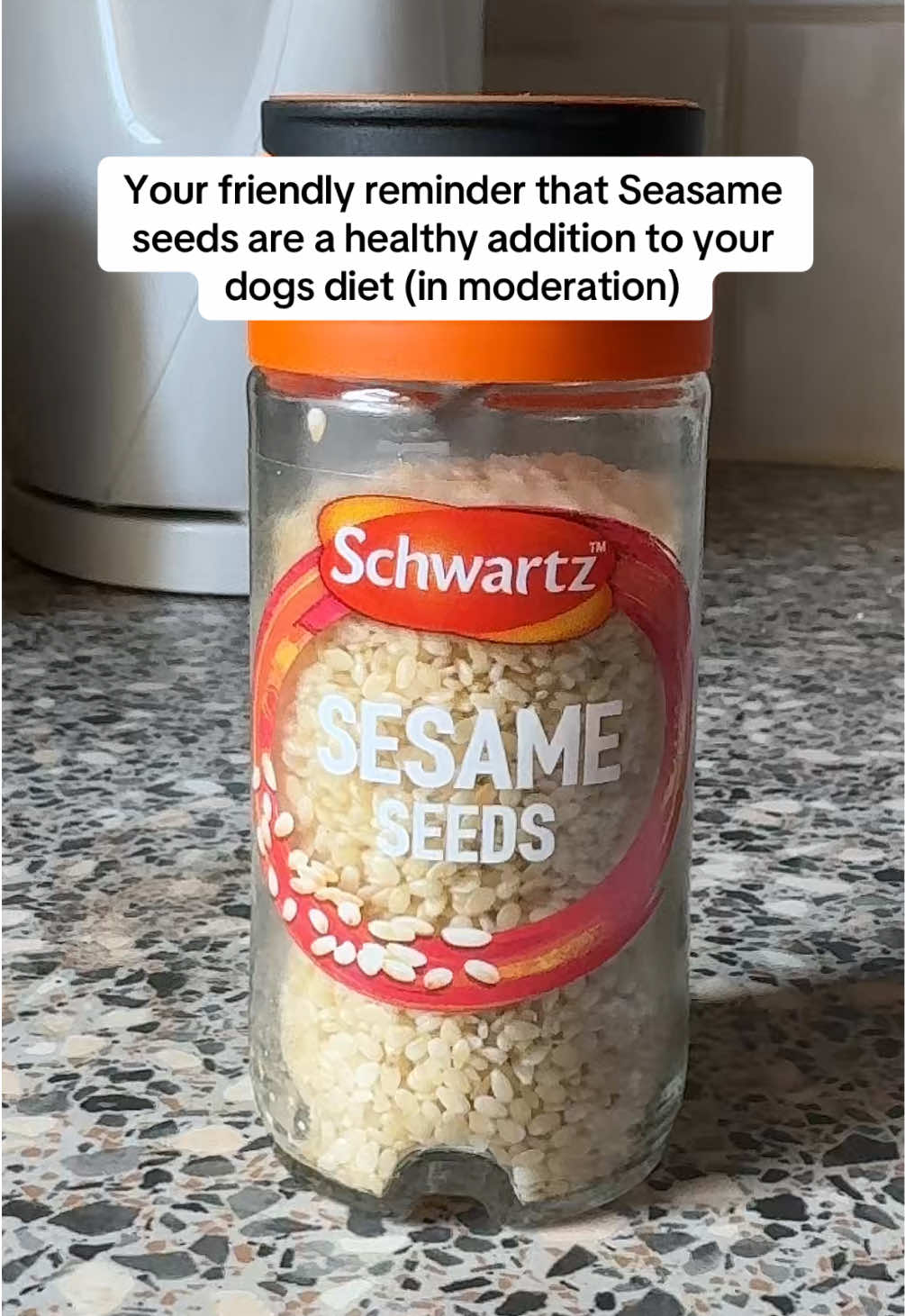 Sesame seeds provide essential nutrients like calcium, magnesium, and iron which contribute to a dog's overall health. However, they are high in calories so they should be given in moderation 🐕 #sesame #sesameseeds #doghealthtips #dogfood #dognutrition 