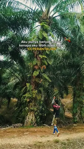 Masa depan BELUM JELAS Tapi,...capeknya melampaui BATAS....!