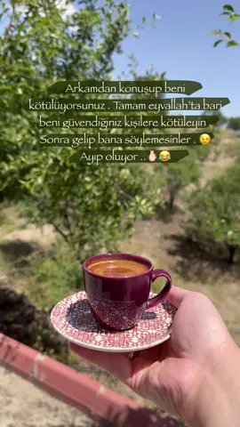 Sağlam insanlara güvenin bari 😉😂 #kahvestoryleri #kahvem #köyevi #gökyüzü #yeşillik #keşfetbeniöneçıkar #keşfett #kesfetteyiz 